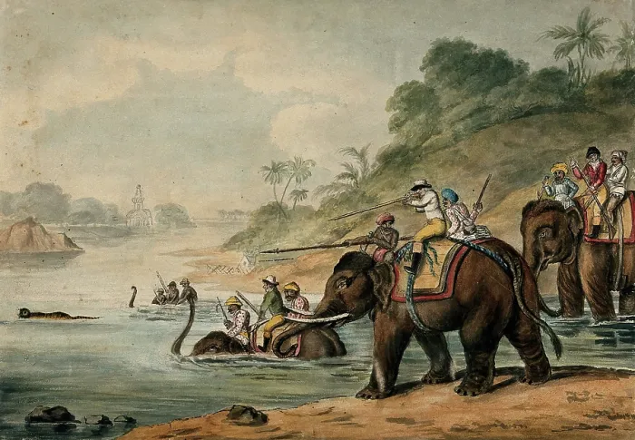 Framed Print : Tiger hunting in India: men riding elephants shoot at a tiger that tries to escape by... 1800-1809. Creator: Samuel Howitt Framed Print : Tiger hunting in India: men riding elephants shoot at a tiger that tries to escape by... 1800-1809. Creator: Samuel Howitt
