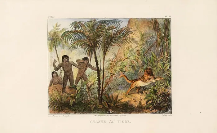 Framed Print : Tiger hunting. From Voyage pittoresque dans le Brésil, 1835. Creator: Rugendas, Johann Moritz (1802-1858). Tiger hunting. From Voyage pittoresque dans le Brésil, 1835. Creator: Rugendas, Johann Moritz (1802-1858) Framed Print : Tiger hunting. From Voyage pittoresque dans le Brésil, 1835. Creator: Rugendas, Johann Moritz (1802-1858). Tiger hunting. From Voyage pittoresque dans le Brésil, 1835. Creator: Rugendas, Johann Moritz (1802-1858)