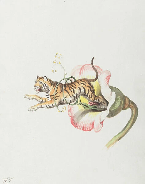 Tiger jumping from a flower crown. Allegory on flower seeds, 1817. Creator: Tischbein