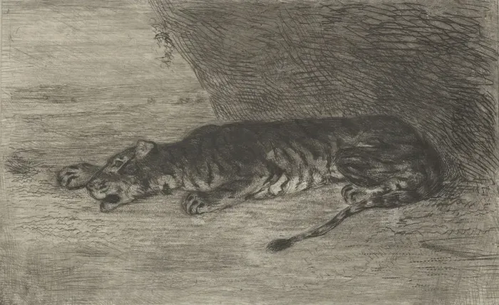 Framed Print : Tiger Lying at the Entrance of its Lair, ca. 1828-30. ca. 1828-30 Framed Print : Tiger Lying at the Entrance of its Lair, ca. 1828-30. ca. 1828-30