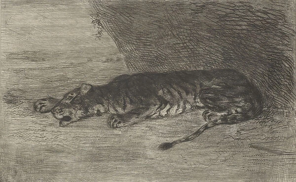 Tiger Lying at the Entrance of its Lair, ca. 1828-30. ca. 1828-30
