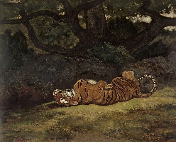 Tiger Rolling, c1850-1869. Creator: Antoine-Louis Barye
