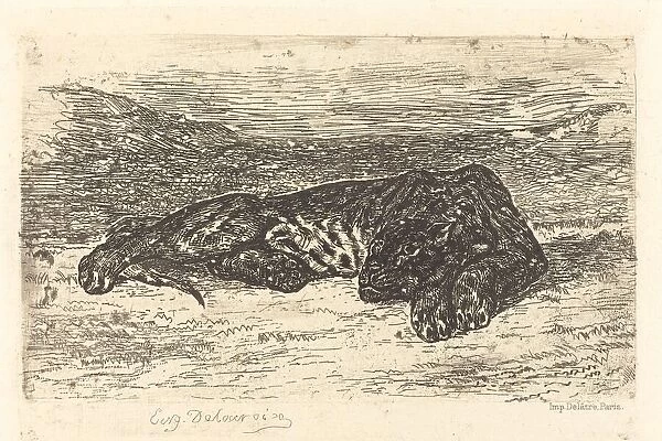 Tiger Sleeping in the Desert (Tigre couchedans le desert), 1846