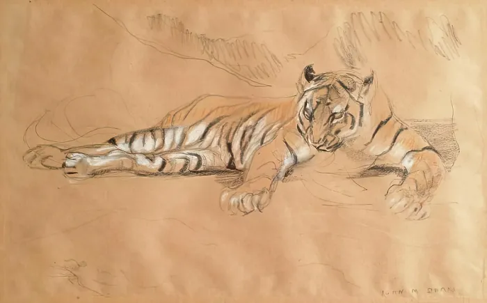 Framed Print : A Tiger Waiting, c1900s. Creator: John MacAllan Swan Framed Print : A Tiger Waiting, c1900s. Creator: John MacAllan Swan