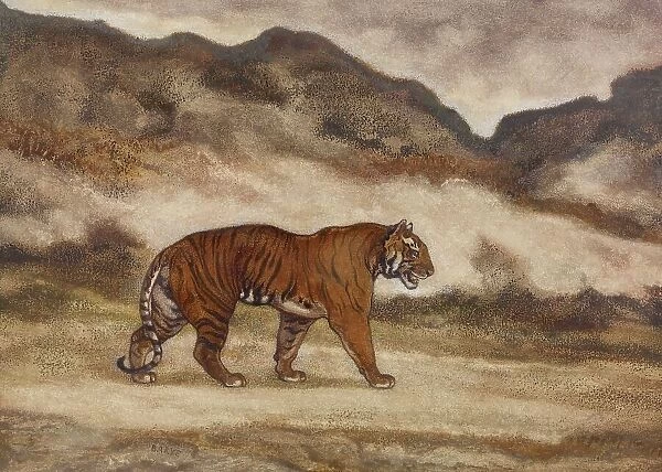 Tiger Walking, 1850s. Creator: Antoine-Louis Barye
