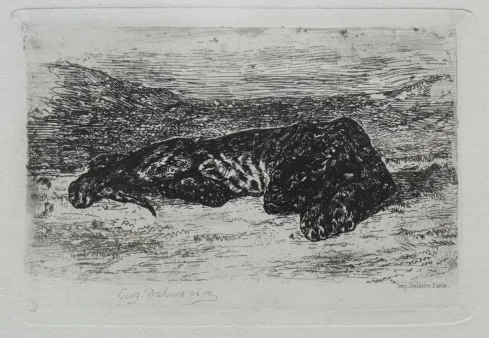 Framed Print : Tigre couche dans le desert. Creator: Eugene Delacroix (French, 1798-1863) Framed Print : Tigre couche dans le desert. Creator: Eugene Delacroix (French, 1798-1863)