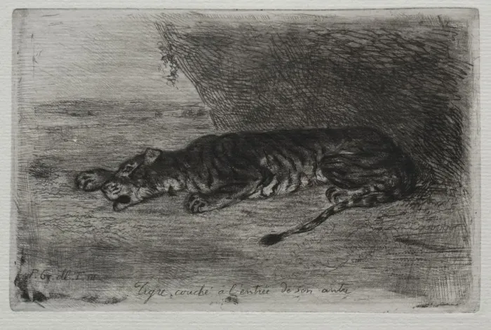 Framed Print : Tigre couche a lentree de son antre. Creator: Eugene Delacroix (French Framed Print : Tigre couche a lentree de son antre. Creator: Eugene Delacroix (French