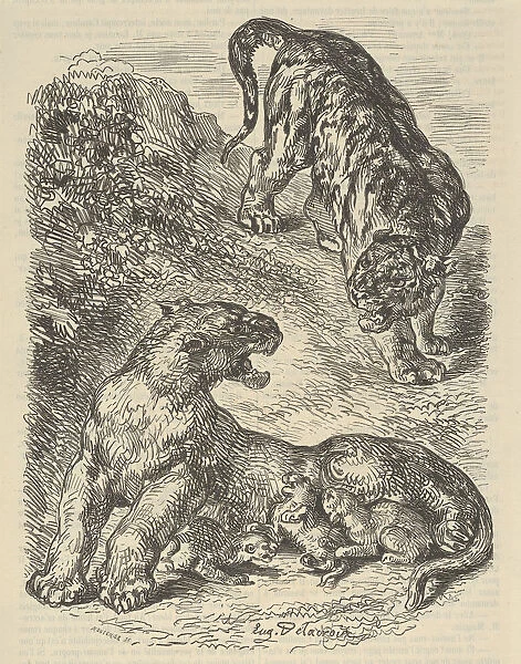 Tigress Attacked by a Tiger While Nursing her Young, 1853. 1853