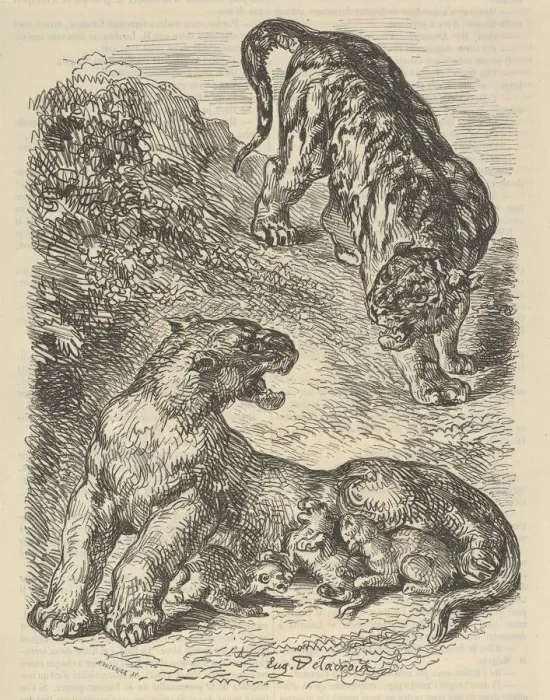 Framed Print : Tigress Attacked by a Tiger While Nursing her Young, 1853. 1853 Framed Print : Tigress Attacked by a Tiger While Nursing her Young, 1853. 1853