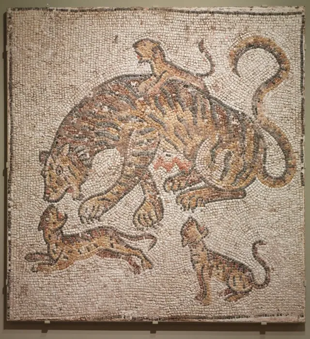 Framed Print : Tigress and Cubs, 300s. Creator: Unknown Framed Print : Tigress and Cubs, 300s. Creator: Unknown