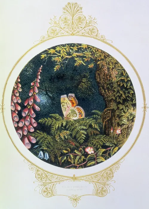 Framed Print : Till on a green fern's nodding crest, 1870. Creator: AFL. Till on a green fern's nodding crest, 1870. Creator: AFL Framed Print : Till on a green fern's nodding crest, 1870. Creator: AFL. Till on a green fern's nodding crest, 1870. Creator: AFL