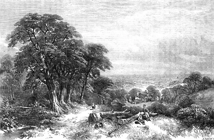 Framed Print : Timber-clearing on the Hill-side, Sussex - painted by Henry Jetsum - from the Exhibition of the Br Creator: M. Jackson. Timber-clearing on the Hill-side, Sussex - painted by Henry Jetsum - from the Exhibition of the Br Creator: M Framed Print : Timber-clearing on the Hill-side, Sussex - painted by Henry Jetsum - from the Exhibition of the Br Creator: M. Jackson. Timber-clearing on the Hill-side, Sussex - painted by Henry Jetsum - from the Exhibition of the Br Creator: M