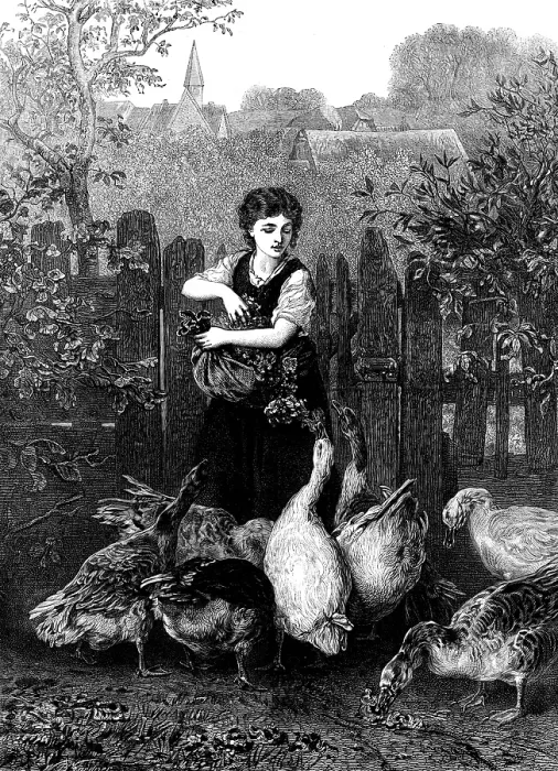 Framed Print : One at a Time, by E. Knaus, 1873. Creator: William Biscombe Gardner Framed Print : One at a Time, by E. Knaus, 1873. Creator: William Biscombe Gardner