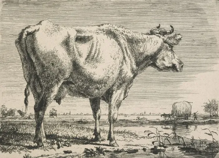 Framed Print : No title. (Cattle study.), c.1798. Creator: Pieter Gerardus van Os Framed Print : No title. (Cattle study.), c.1798. Creator: Pieter Gerardus van Os