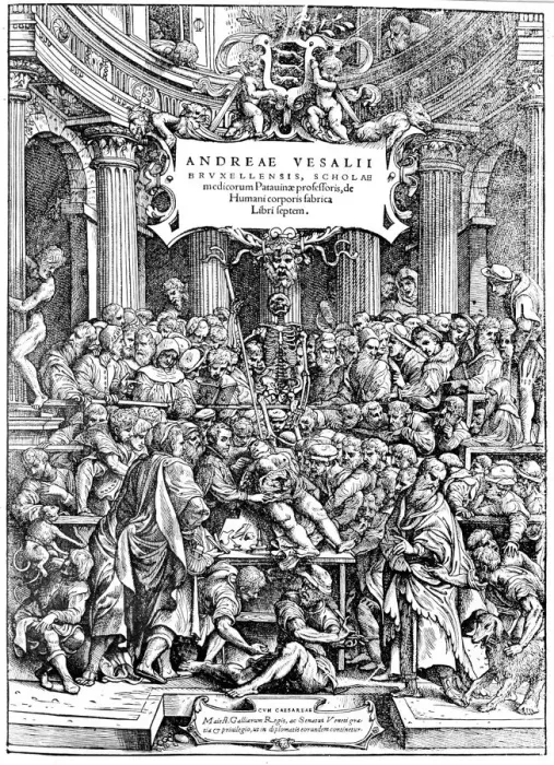 Framed Print : Title page of Andreas Vesalius De Humani Corporis Fabrica, showing Vesalius dissecting body, 1543. Artist: Andreas Vesalius Framed Print : Title page of Andreas Vesalius De Humani Corporis Fabrica, showing Vesalius dissecting body, 1543. Artist: Andreas Vesalius