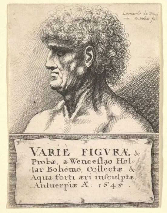 Framed Print : Title-page to Varie Figurae& Probae, 1645. Creator: Wenceslaus Hollar Framed Print : Title-page to Varie Figurae& Probae, 1645. Creator: Wenceslaus Hollar