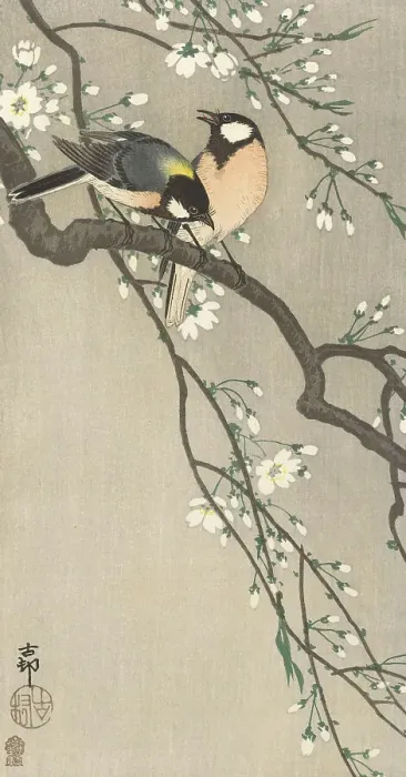 Framed Print : Tits on Cherry Branch, 1900-1910. Creator: Ohara, Koson (1877-1945) Framed Print : Tits on Cherry Branch, 1900-1910. Creator: Ohara, Koson (1877-1945)