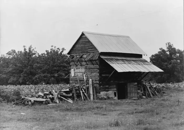 Framed Print : The tobacco barn, a distinctive American architectural form, Person County, North Carolina, 1939. Creator: Dorothea Lange Framed Print : The tobacco barn, a distinctive American architectural form, Person County, North Carolina, 1939. Creator: Dorothea Lange