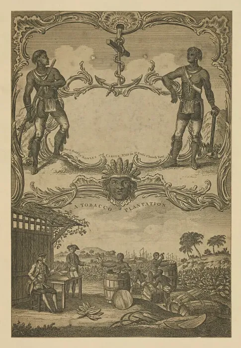 Framed Print : A tobacco plantation, 1745. Creator: Unknown artist Framed Print : A tobacco plantation, 1745. Creator: Unknown artist