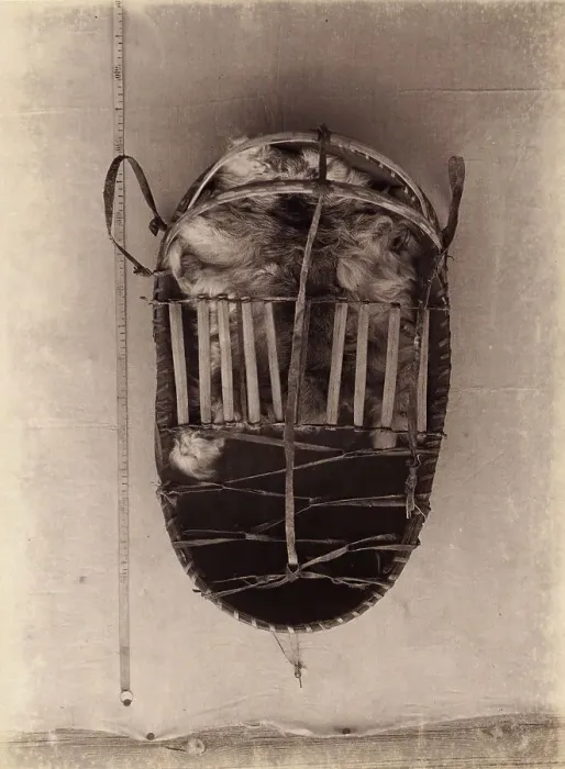 Framed Print : Todzhin Birchbark Cradle (sent to the Berlin Museum fur Volkskunde), 1897. Creator: Unknown Framed Print : Todzhin Birchbark Cradle (sent to the Berlin Museum fur Volkskunde), 1897. Creator: Unknown
