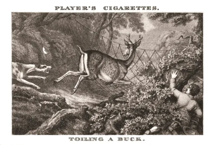 Framed Print : Toiling a Buck, (1924). Creator: Unknown