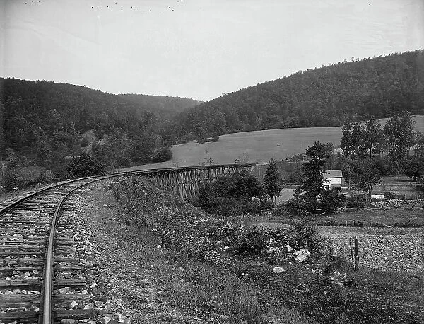 Toms Creek trestle [Frederick County, Md.], between 1900 and 1905. Creator: Unknown