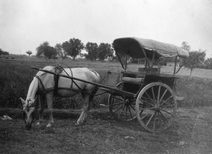 Framed Print : Tonga (horse cart), Muttra, India, 1917 Framed Print : Tonga (horse cart), Muttra, India, 1917