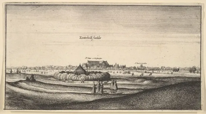 Framed Print : Tootehill fields (Amoenissimi aliquot locorum... Prospectus), 1625-77 Framed Print : Tootehill fields (Amoenissimi aliquot locorum... Prospectus), 1625-77