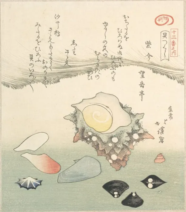 Framed Print : Top-Shell and Various Shells, 19th century. Creator: Totoya Hokkei Framed Print : Top-Shell and Various Shells, 19th century. Creator: Totoya Hokkei