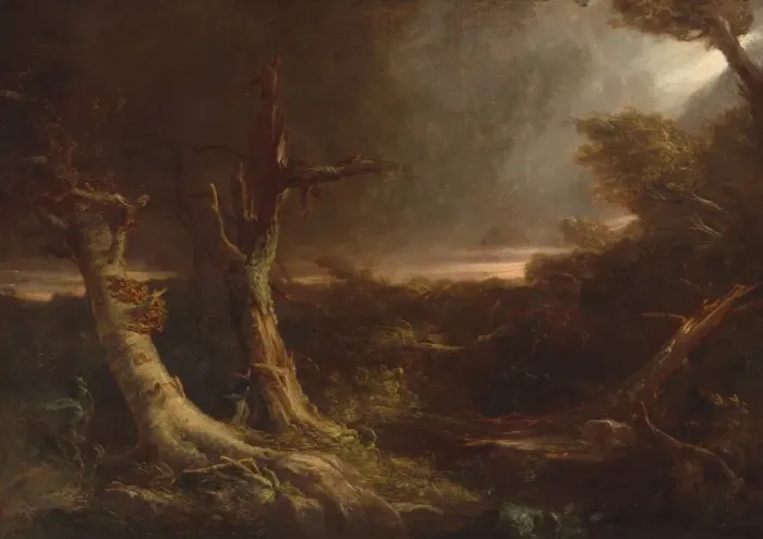 Framed Print : Tornado in an American Forest, 1831. Creator: Thomas Cole Framed Print : Tornado in an American Forest, 1831. Creator: Thomas Cole