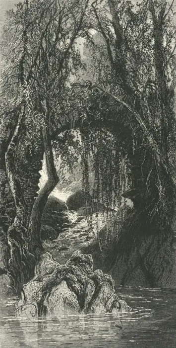 Framed Print : The Torrent Walk, Dolgelly, c1870 Framed Print : The Torrent Walk, Dolgelly, c1870