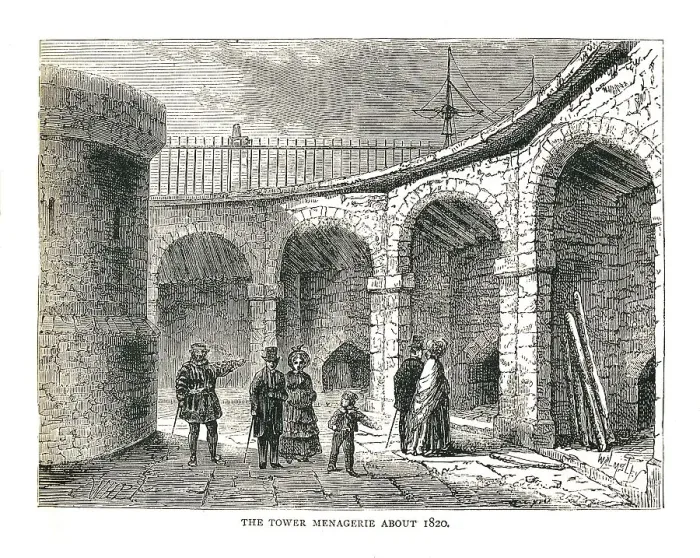 Framed Print : The Tower Managerie, 1878. Artist: Walter Thornbury Framed Print : The Tower Managerie, 1878. Artist: Walter Thornbury