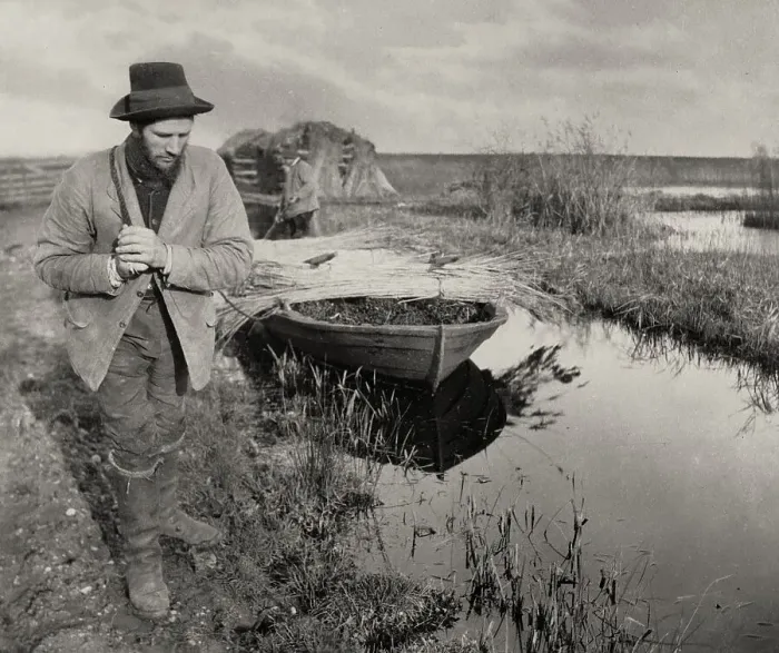 Framed Print : Towing the Reed, 1886. Creator: Peter Henry Emerson Framed Print : Towing the Reed, 1886. Creator: Peter Henry Emerson