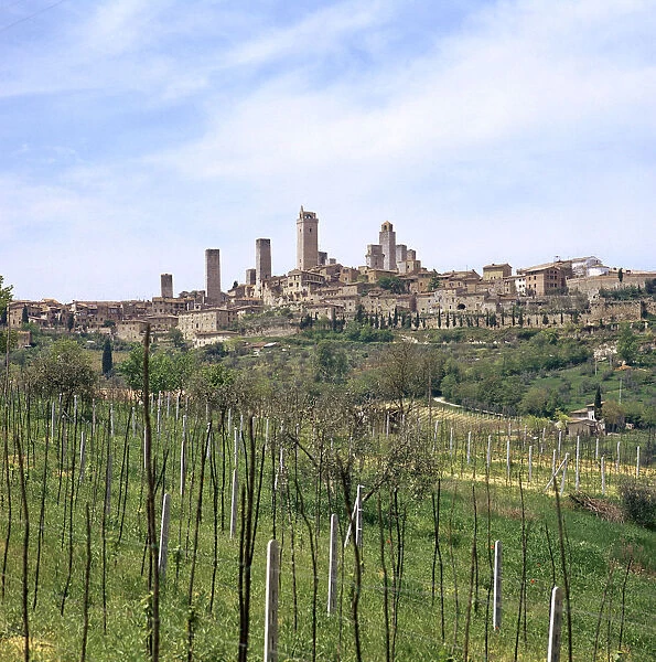 The town of San Gimignano, 13th century