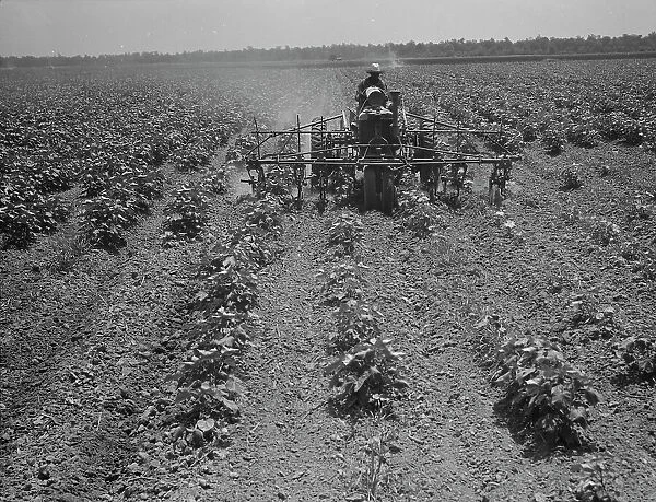 Tractor on the Aldridge Plantation, Mississippi, 1937. Creator: Dorothea Lange