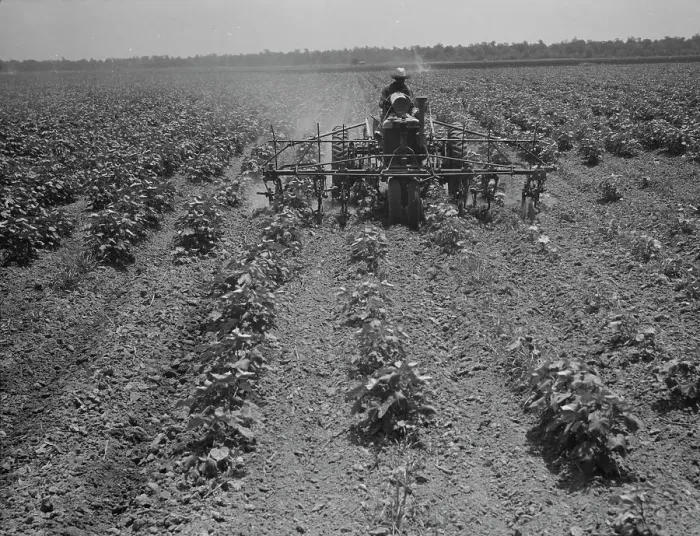 Framed Print : Tractor on the Aldridge Plantation, Mississippi, 1937. Creator: Dorothea Lange Framed Print : Tractor on the Aldridge Plantation, Mississippi, 1937. Creator: Dorothea Lange