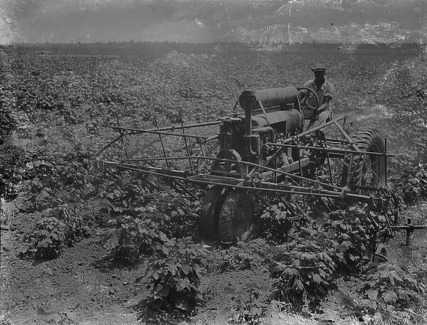 Tractor and integrated four-row cultivator, Aldridge Plantation, near Leland, Mississippi, 1937. Creator: Dorothea Lange