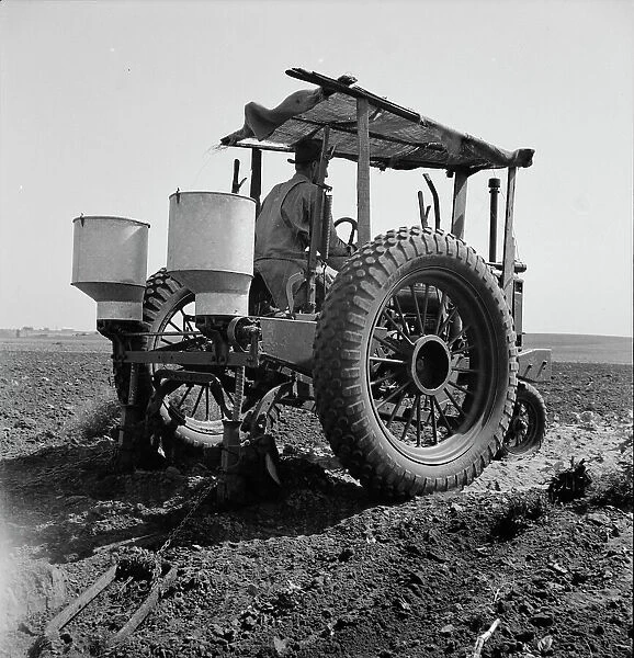 Tractor and operator, Navarro, Texas, 1937. Creator: Dorothea Lange