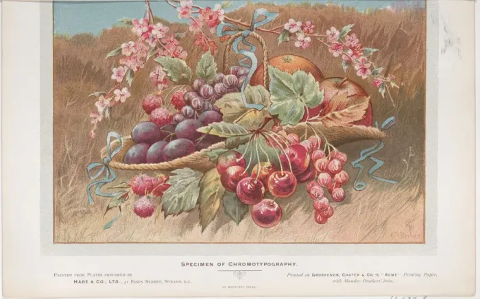 Framed Print : Trade Card for Hare & Co. Ltd, 1910. 1910. Creator: Anon Framed Print : Trade Card for Hare & Co. Ltd, 1910. 1910. Creator: Anon
