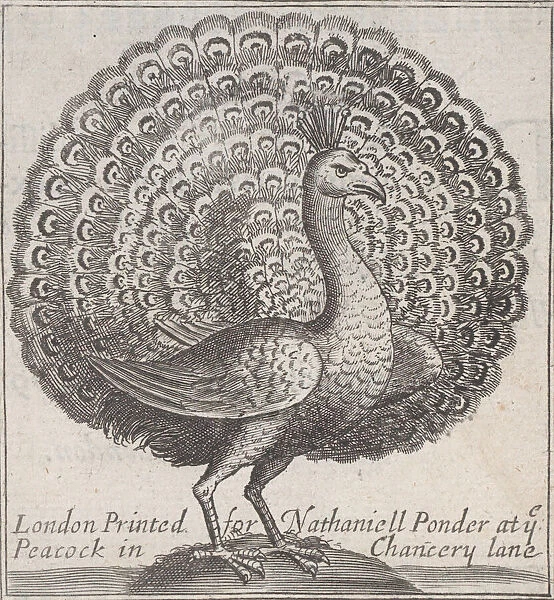 Trade card for Nathaniell Ponder, Bookseller, 18th century. Creator: Anon