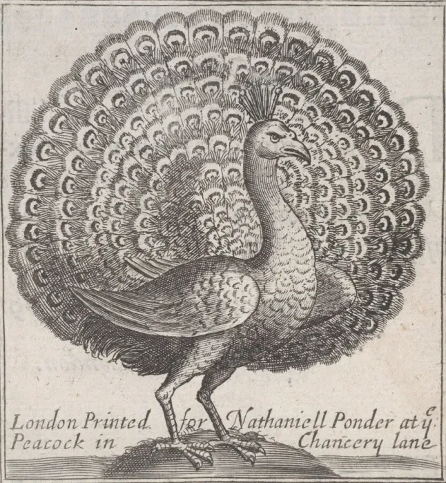 Framed Print : Trade card for Nathaniell Ponder, Bookseller, 18th century. Creator: Anon Framed Print : Trade card for Nathaniell Ponder, Bookseller, 18th century. Creator: Anon