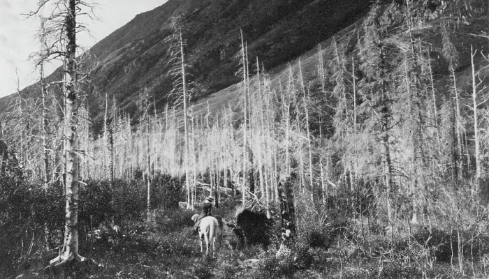 Framed Print : Trail to Sunrise, between c1900 and 1916. Creator: Unknown Framed Print : Trail to Sunrise, between c1900 and 1916. Creator: Unknown