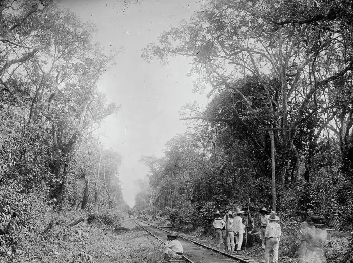 Framed Print : Train in the Cafetal of Temasopa (i.e. Tamasopo), between 1880 and 1897. Creator: William H. Jackson Framed Print : Train in the Cafetal of Temasopa (i.e. Tamasopo), between 1880 and 1897. Creator: William H. Jackson