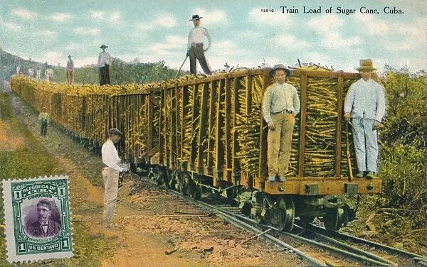 Train Load of Sugar Cane, Cuba, 1911