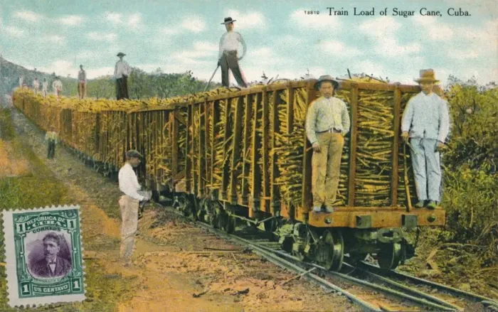Framed Print : Train Load of Sugar Cane, Cuba, 1911 Framed Print : Train Load of Sugar Cane, Cuba, 1911