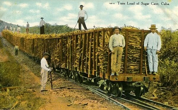 Train Load of Sugar Cane, Cuba, c1910s. Creator: Unknown
