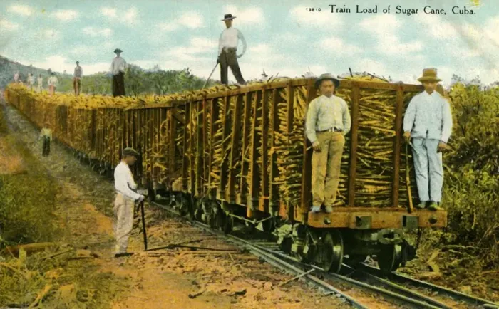 Framed Print : Train Load of Sugar Cane, Cuba, c1910s. Creator: Unknown Framed Print : Train Load of Sugar Cane, Cuba, c1910s. Creator: Unknown