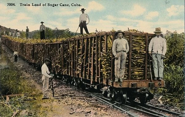 Train Load of Sugar Cane leaving the field, Cuba, 1915