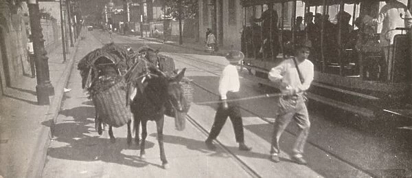 By tram and mule, 1914