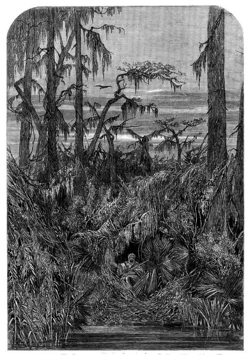 Framed Print : Transatlantic Sketches - a Swamp in Louisiana - from a drawing by Mrs. Bodichon, 1858. Creator: Unknown